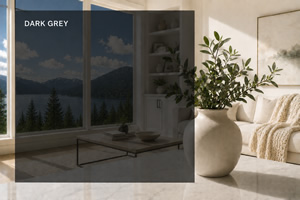 Dark Gray